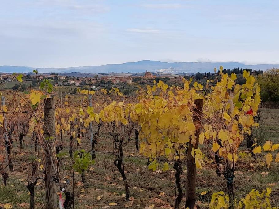 Montepulciano - La Casetta Del Pian Delle Noci 아쿠아비바 외부 사진