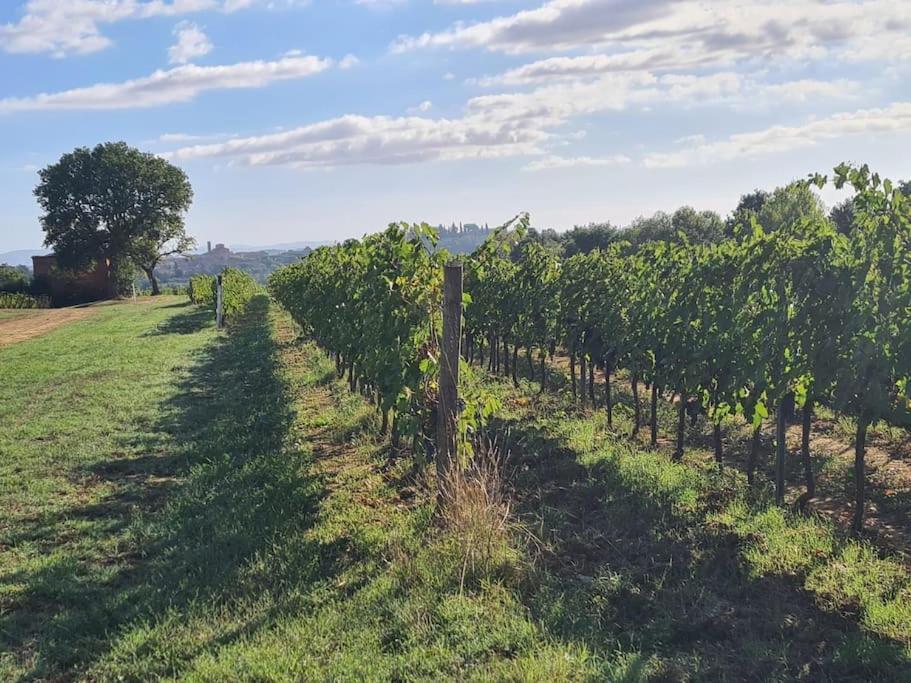 Montepulciano - La Casetta Del Pian Delle Noci 아쿠아비바 외부 사진