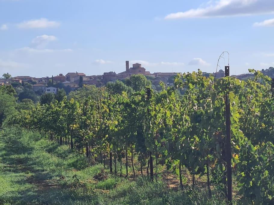 Montepulciano - La Casetta Del Pian Delle Noci 아쿠아비바 외부 사진